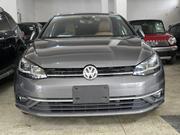 Volkswagen Golf Variant 2019 Gray for sale
