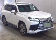 New Lexus LX 2025 White for sale
