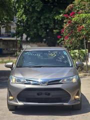 Toyota Axio 2018 Gray for sale