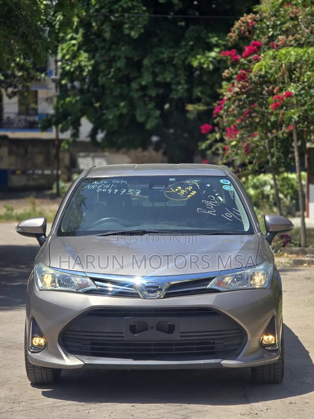 Toyota Axio 2018 Gray