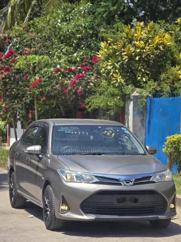 Toyota Axio 2018 Gray
