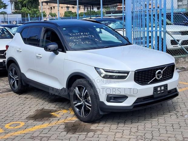Volvo XC40 D3 Diesel AWD 2019 Pearl
