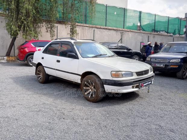 Toyota Corolla 1995 White