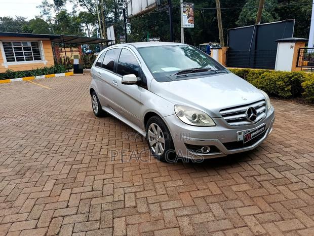 Mercedes-Benz B-Class 2009 Gray