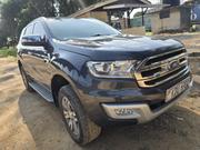 Ford Everest 2018 Gray for sale