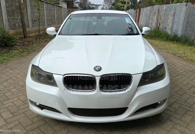 BMW 320i Sedan RWD 2011 White