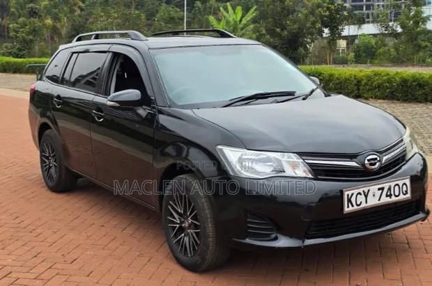 Toyota Corolla Fielder 2010 Black
