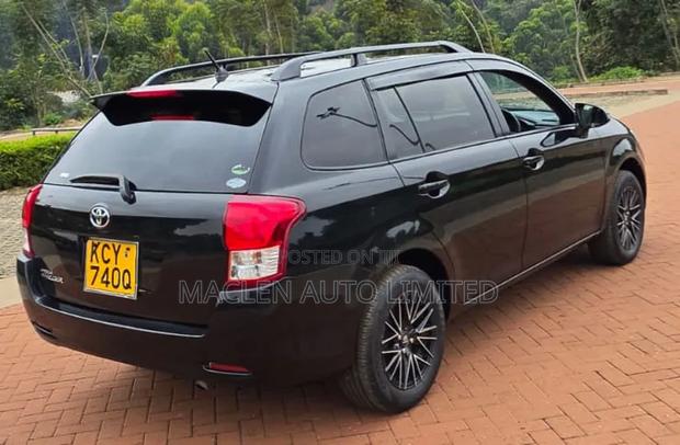 Toyota Corolla Fielder 2010 Black