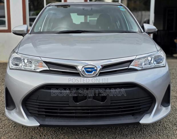 Toyota Axio 2019 Silver