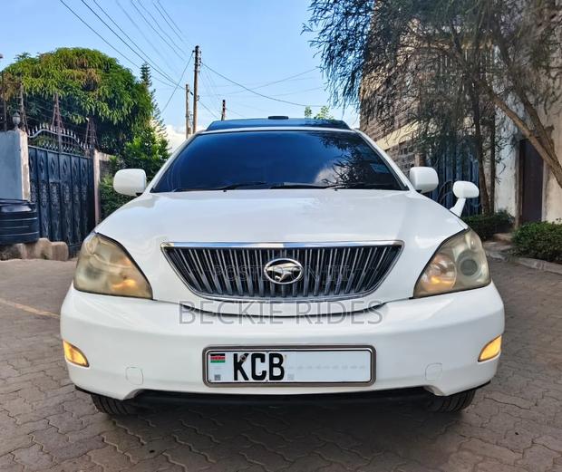 Toyota Harrier 2009 Pearl