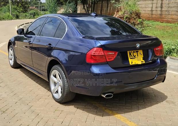 BMW 318i 2011 Blue