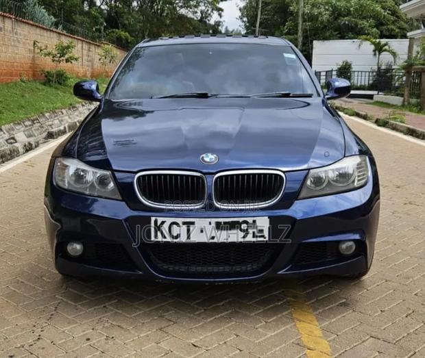 BMW 318i 2011 Blue
