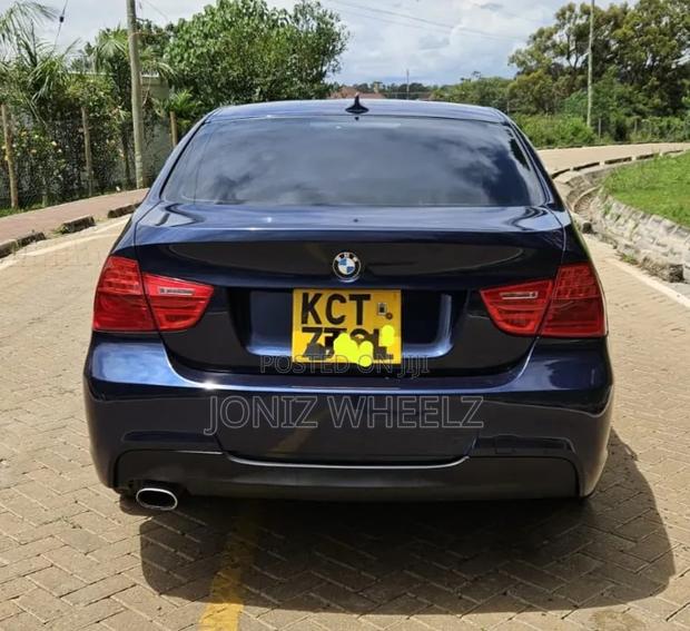 BMW 318i 2011 Blue