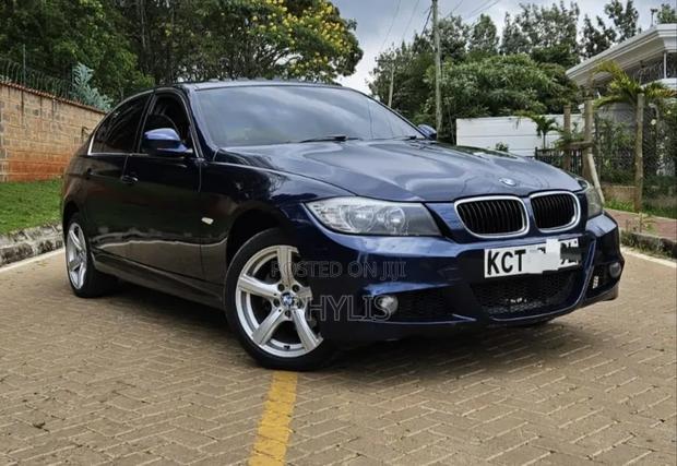 BMW 318i 2011 Blue