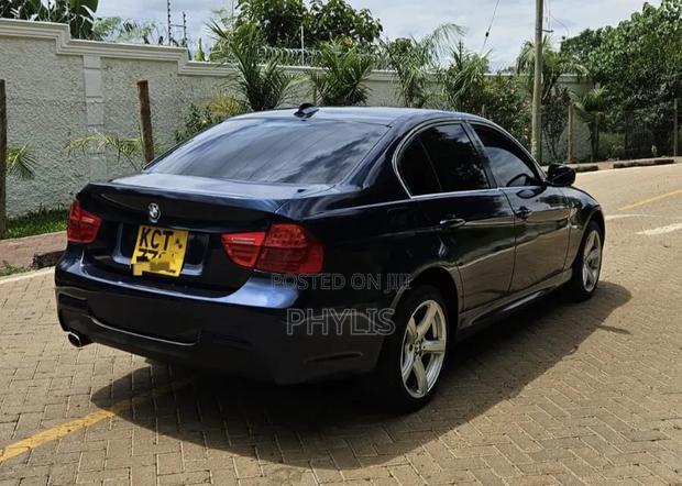 BMW 318i 2011 Blue