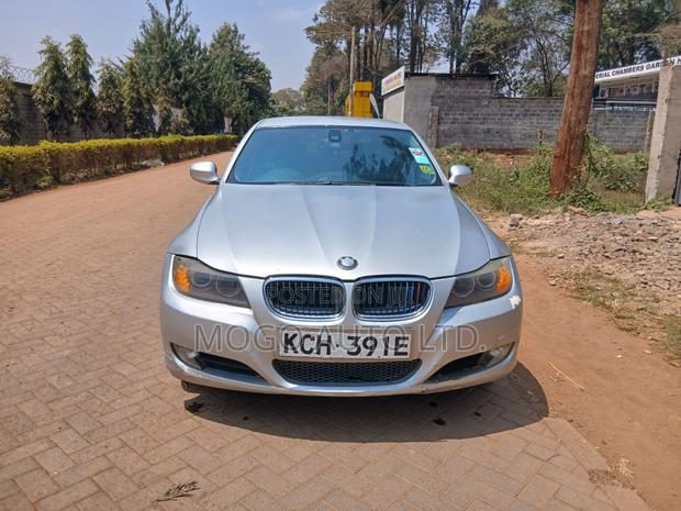 BMW 318i 2009 Silver