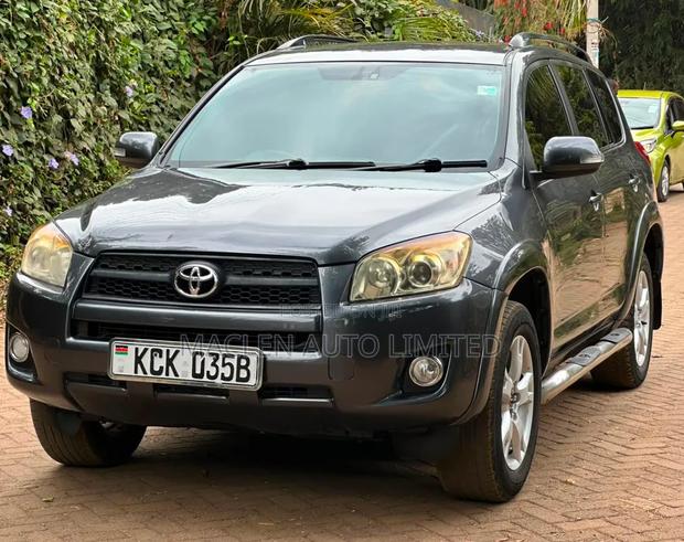Toyota RAV4 2010 Gray