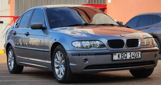 BMW 318i 2007 Gray