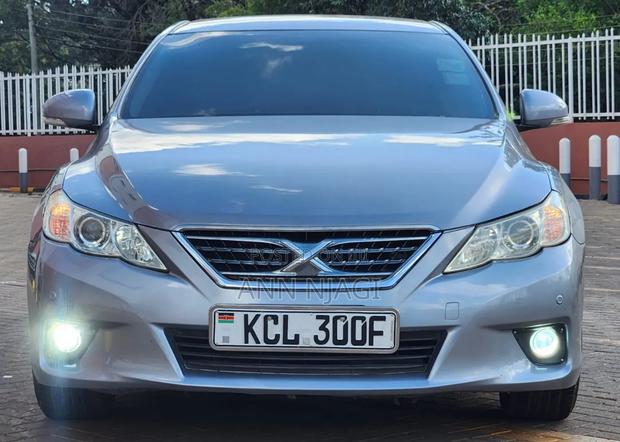 Toyota Mark X 2010 Gray