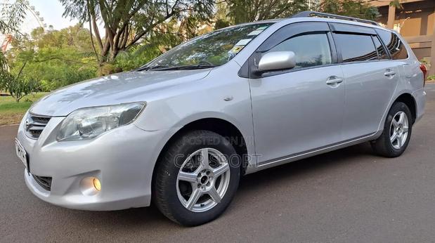 Toyota Corolla Fielder 2009 Silver