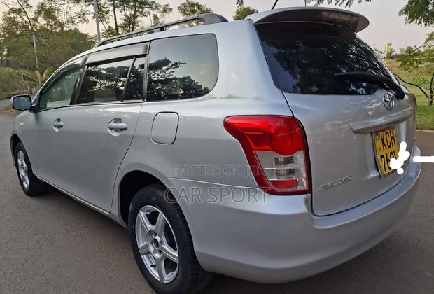 Toyota Corolla Fielder 2009 Silver