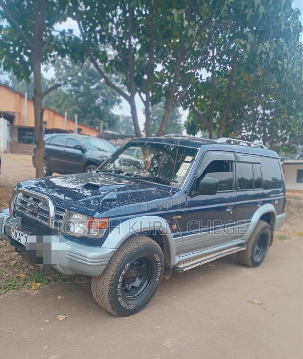 Mitsubishi Pajero 1999 Blue