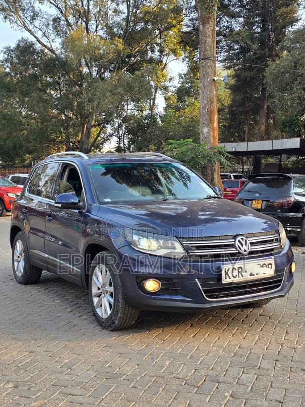Volkswagen Tiguan 2010 Blue