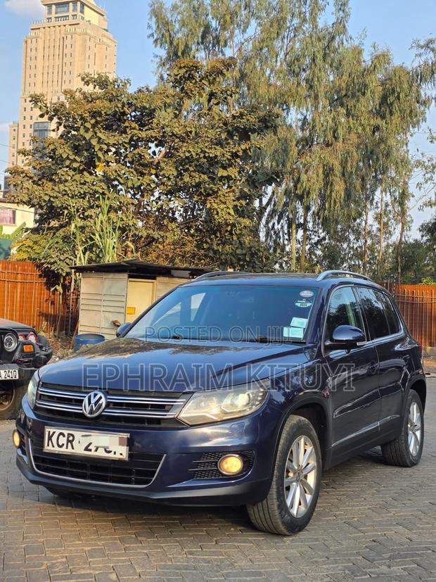 Volkswagen Tiguan 2010 Blue