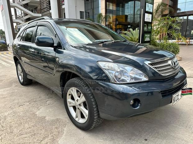 Lexus RX 2008 Gray