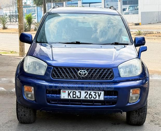 Toyota RAV4 2002 Blue