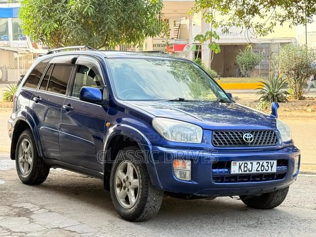 Toyota RAV4 2002 Blue