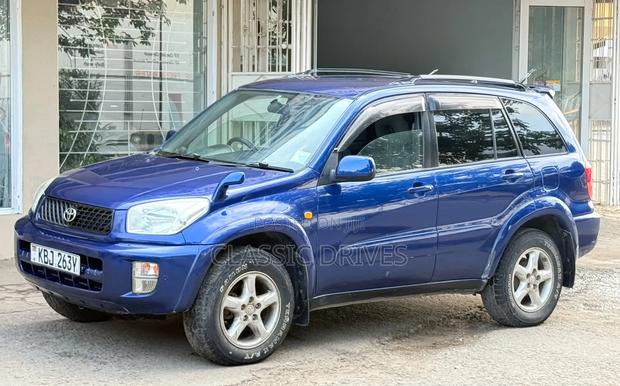 Toyota RAV4 2002 Blue