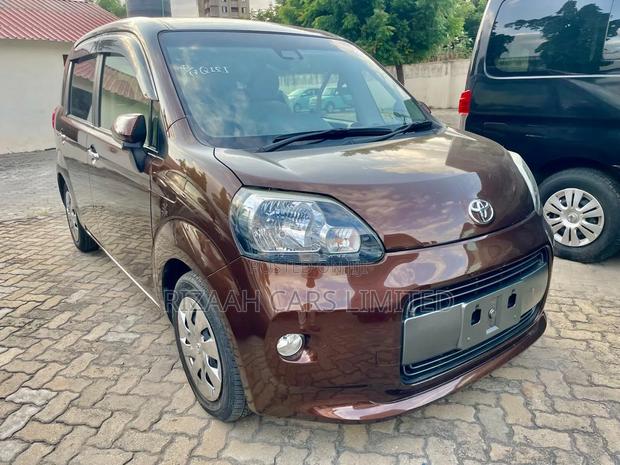 Toyota Porte 2019 Brown