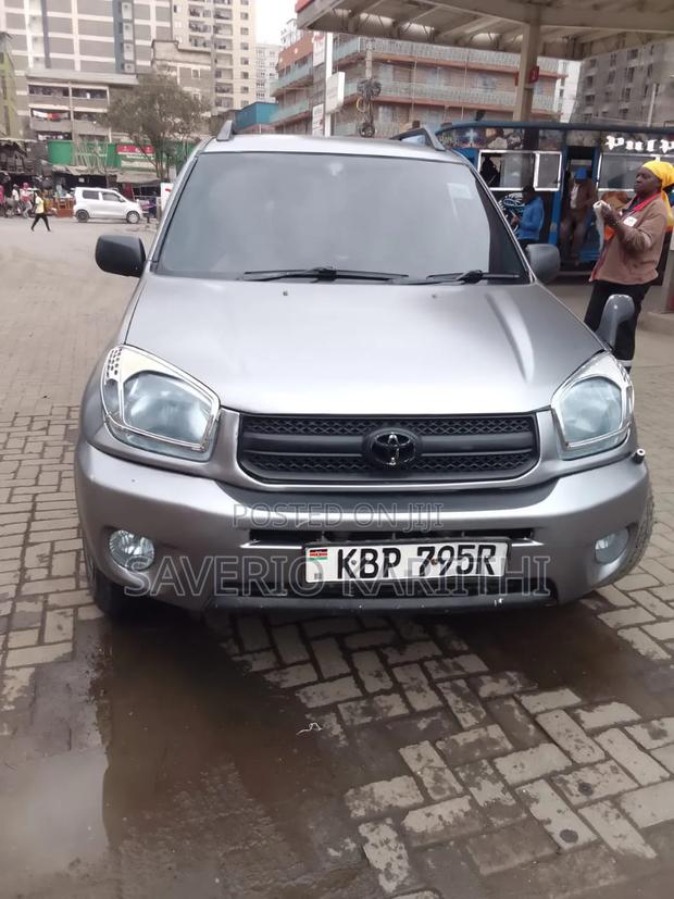 Toyota RAV4 2005 Gray