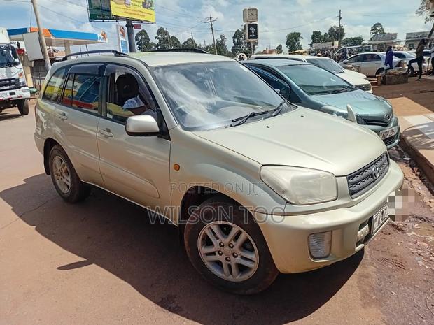 Toyota RAV4 2007 Gold