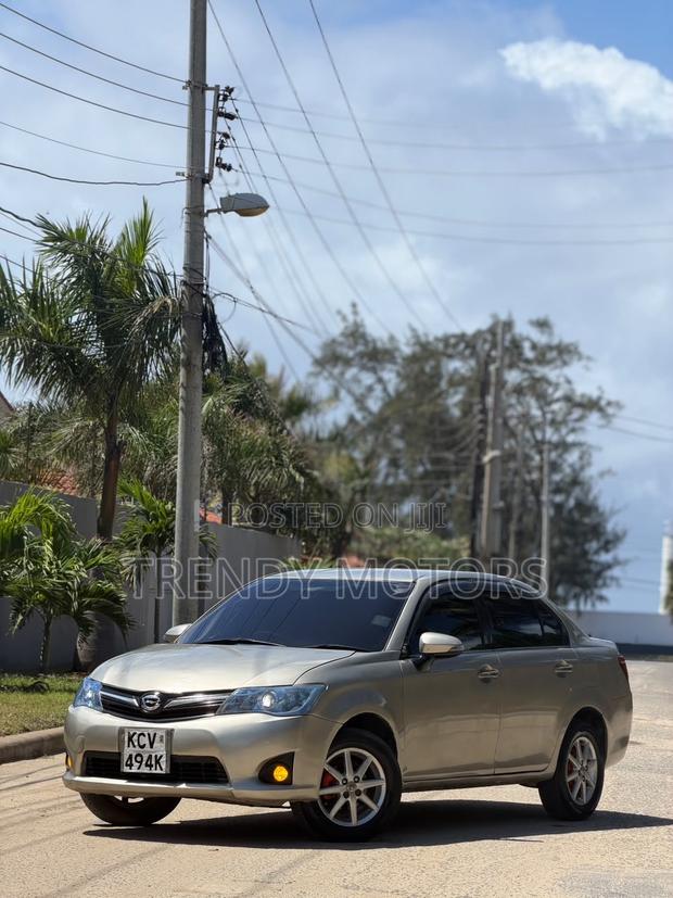 Toyota Axio 2011 Gold