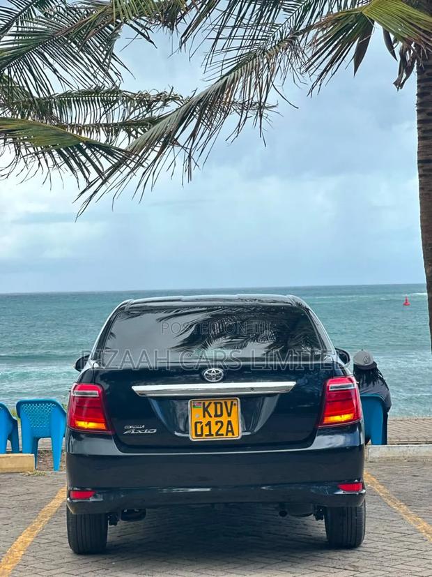 Toyota Axio 2019 Black