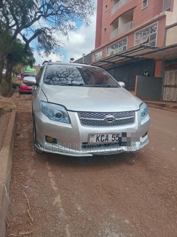 Toyota Corolla Fielder 2008 Silver