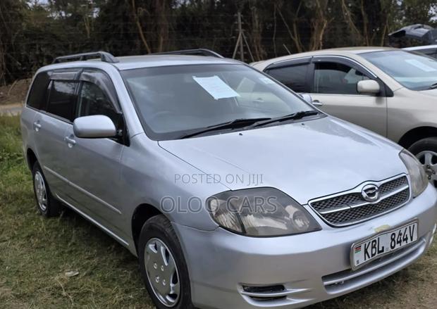 Toyota Corolla Fielder 2008 Silver