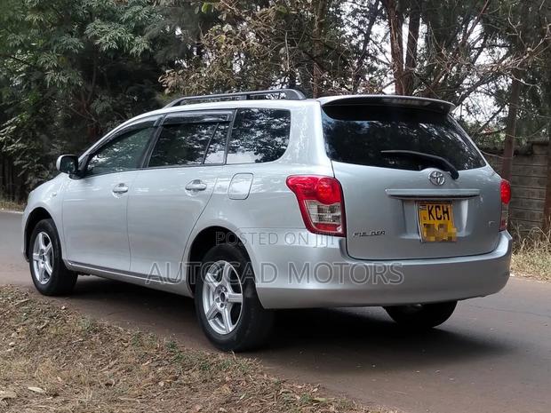 Toyota Corolla Fielder 2009 Silver
