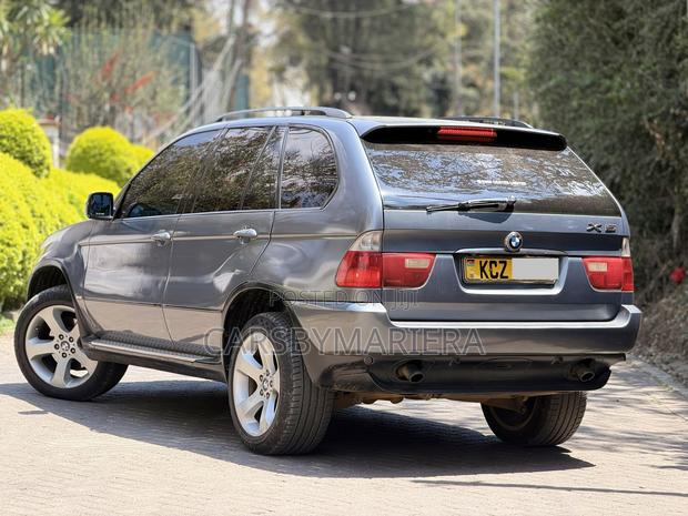 BMW X5 2007 Gray