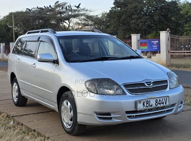 Toyota Corolla Fielder 2006 Silver