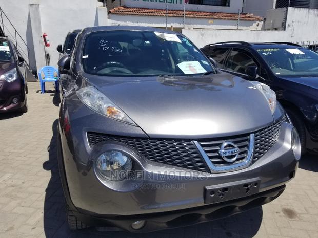 Gray Nissan Juke 2014 - Used Compact SUV with Style and Performance