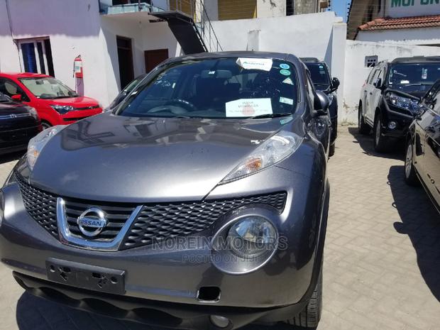 Gray Nissan Juke 2014 - Used Compact SUV with Style and Performance