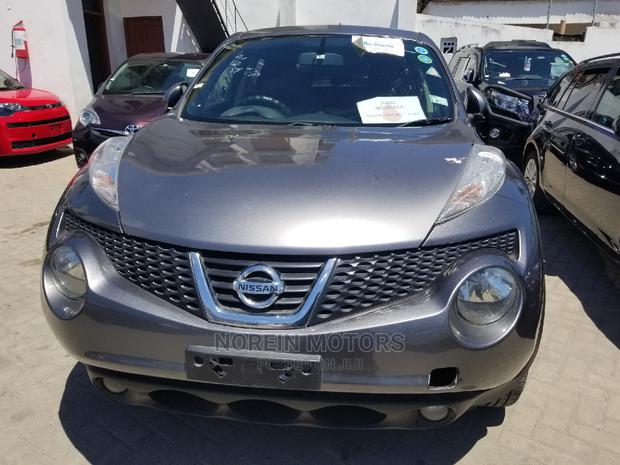 Gray Nissan Juke 2014 - Used Compact SUV with Style and Performance