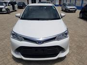 White 2014 Toyota Axio - Affordable & Stylish for sale