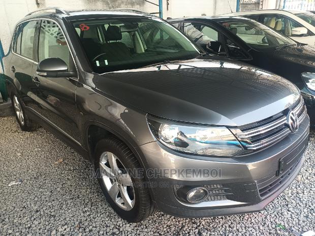 Volkswagen Tiguan 2016 Gray