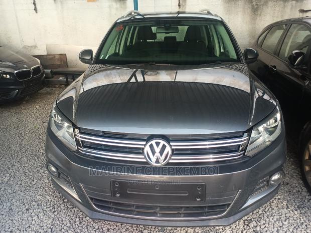 Volkswagen Tiguan 2016 Gray