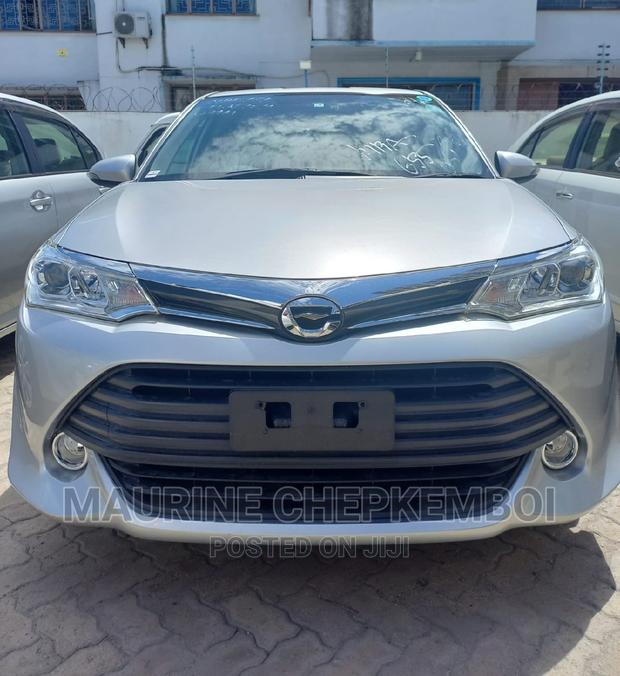 Toyota Corolla Fielder 2017 Silver