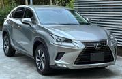 Luxury Lexus NX 2019 in Silver - Premium Offer for sale